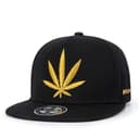 Snapback Cap 1