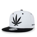 Snapback Cap 1