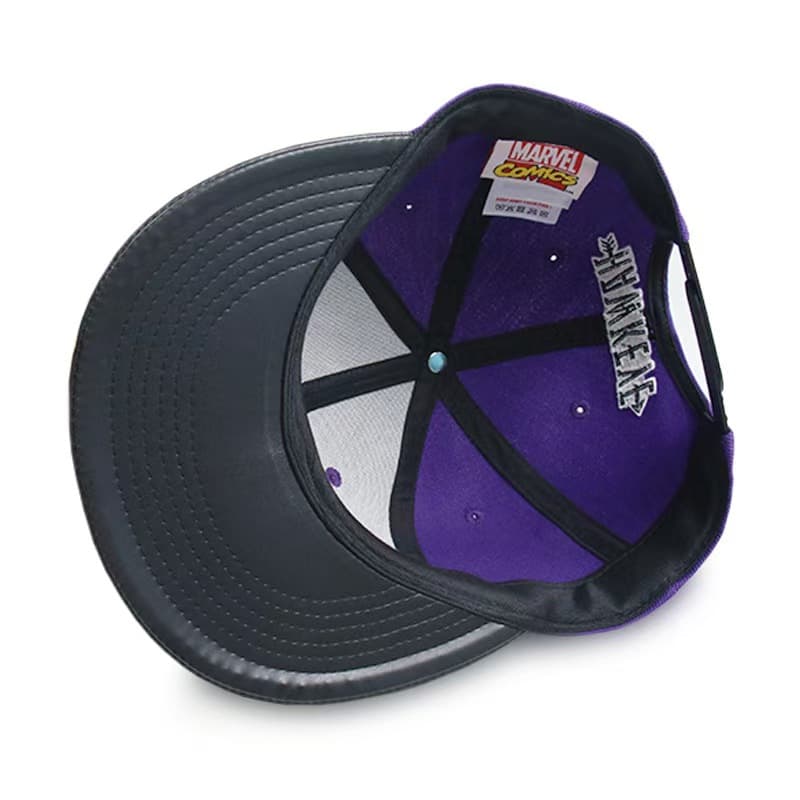 Snapback Cap 2