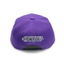 Snapback Cap 2