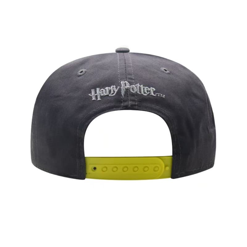 Snapback Cap 3