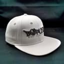 Snapback Cap 7